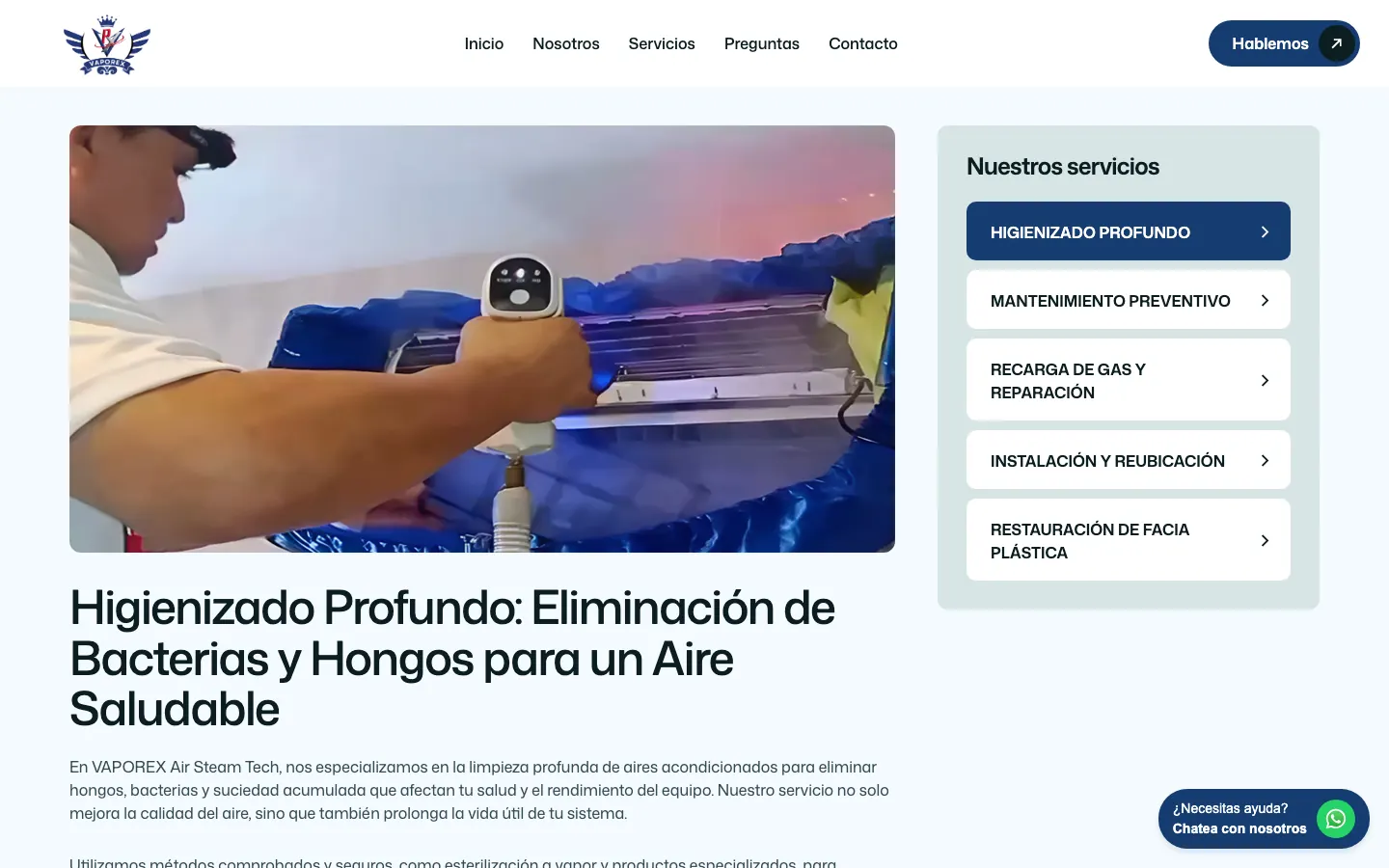 Página del servicio de higienizado profundo con el menú de servicios al lado