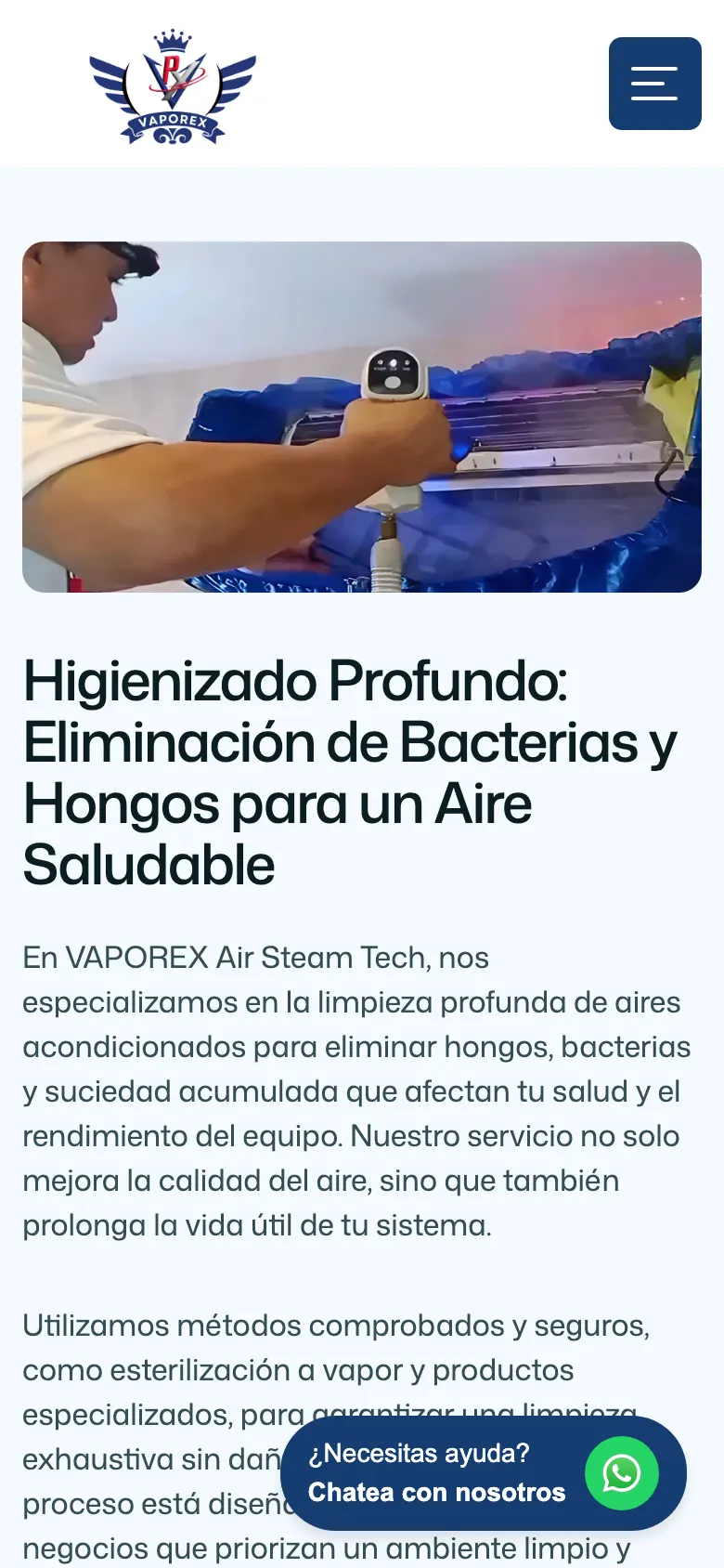 Página del servicio de higienizado en celular